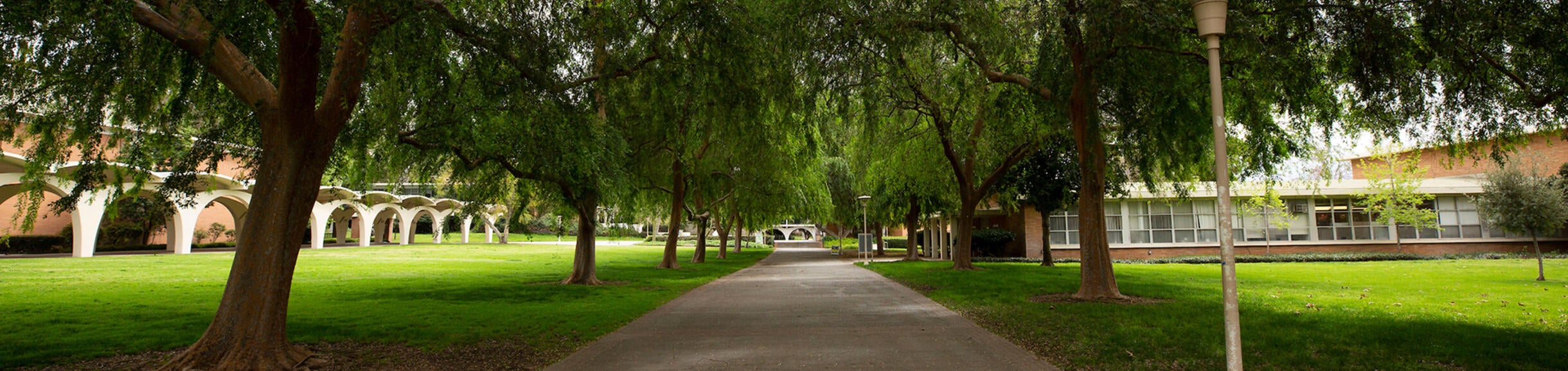 Rivera arches and green trees (c) UCR/Stan Lim