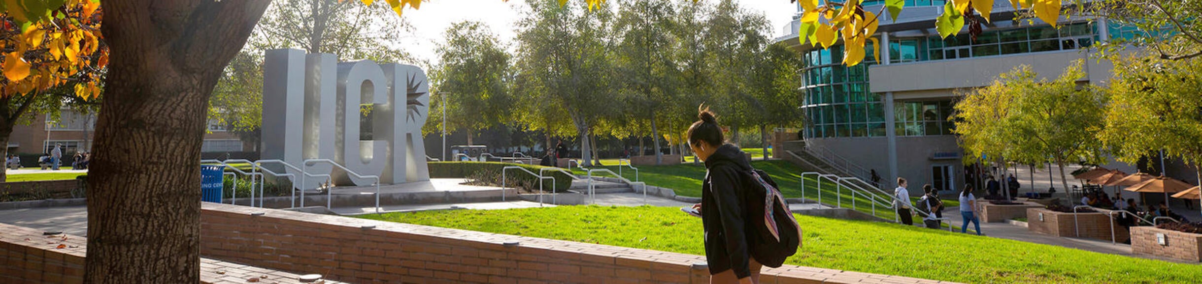 student walking past UCR sign under fall leaves (c) UCR/Stan Lim