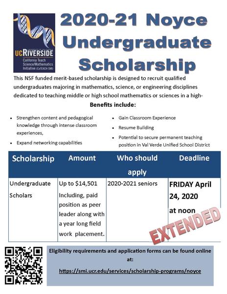 Noyce UG Scholarship